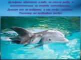 Дельфины обитают в воде, но это не рыба, а млекопитающие из отряда китообразных. Дышат они не жабрами, а как люди - легкими. Поэтому им необходим воздух