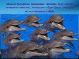 Живут дельфины большими стаями. Они всегда плавают вместе, помогают друг другу и никого не оставляют в беде