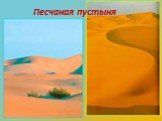 Песчаная пустыня