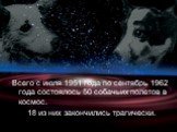 Всего с июля 1951 года по сентябрь 1962 года состоялось 50 собачьих полетов в космос. 18 из них закончились трагически.