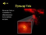 Пульсар Vela. Пульсар Vela и туманность, образованная пульсарным ветром.