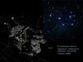 В созвездии Тельца находится знаменитое звёздное скопление Плеяды (М45).