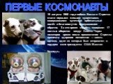 19 августа 1960 года собаки Белка и Стрелка стали первыми живыми существами, совершившими суточный орбитальный полёт и благополучно вернувшимися обратно. За это время корабль совершил 17 полных оборотов вокруг Земли. Через некоторое время после приземления Стрелка принесла здоровое потомство — шесть