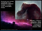 Поглощают свет частицы межзвёздной пыли, находящиеся в наиболее холодных и плотных частях молекулярных облаков. Скопления и большие комплексы тёмных туманностей связаны с гигантскими молекулярными облаками (ГМО). Туманность Конская голова, IC 434