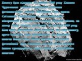 Комету було відкрито 23 жовтня 1969 року Климом Чурюмовим у Києві в результаті вивчення фотопластинок комети 32P/Комас Сола, знятих Світланою Герасименко в Алма-Атинській обсерваторії у вересні того ж року. Перший знімок, на якому видно комету, датований 20 вересня 1969 року. Біля краю фотознімка бу