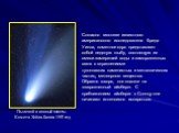 Согласно гипотезе известного американского исследователя Фреда Уипла, кометное ядро представляет собой ледяную глыбу, состоящую из смеси замерзшей воды и замороженных газов с вкраплениями тугоплавких каменистых и металлических частиц, метеорного вещества. Образно говоря, оно похоже на «загрязненный 