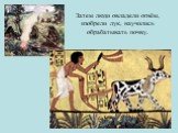 Затем люди овладели огнём, изобрели лук, научились обрабатывать почву.