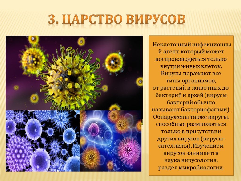Многообразие вирусов 5 класс презентация