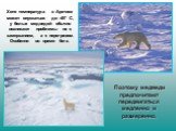 Хотя температура в Арктике может опускаться до -45° С, у белых медведей обычно возникают проблемы не с замерзанием, а с перегревом. Особенно во время бега. Поэтому медведи предпочитают передвигаться медленно и размеренно.