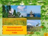 Какой национальный парк Архангельской области в 2004 году получил статус биосферного и был включён в Список Биосферных Резерватов ЮНЕСКО? Кенозерский национальный парк