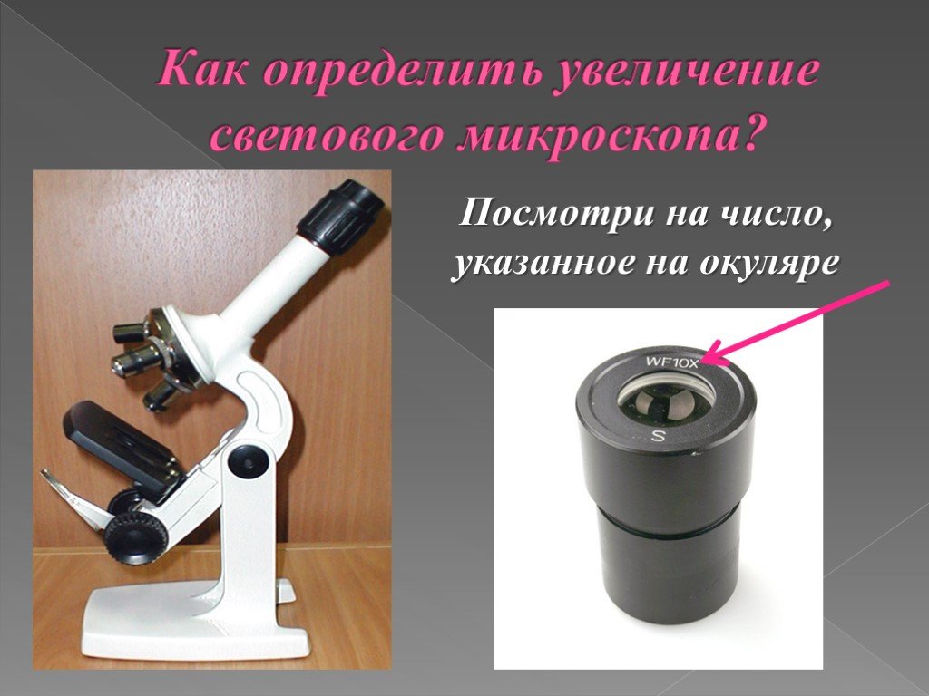 Какое увеличение дает данный микроскоп как узнать. Что такое окуляр в микроскопе 5 класс биология. Определите увеличение микроскопа. Увеличение светового микроскопа. Увеличение окуляра микроскопа.