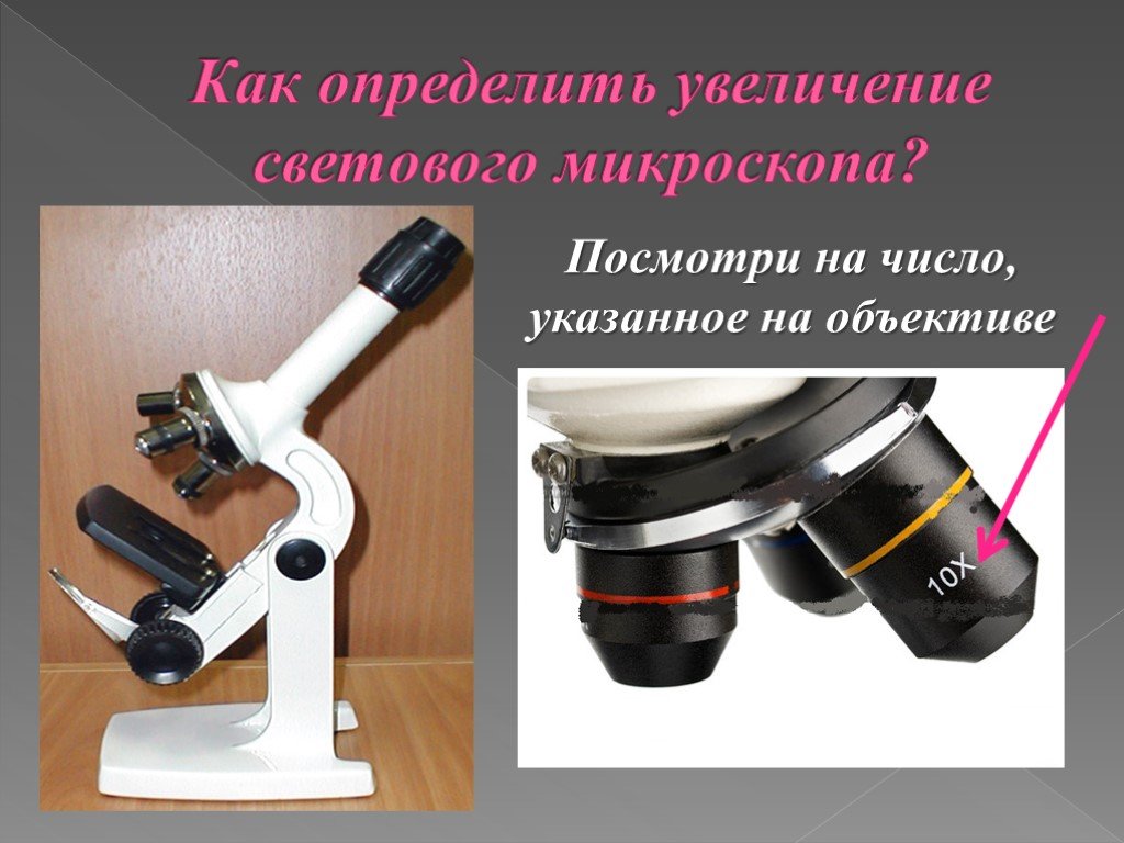 Какое увеличение у цифрового микроскопа. Увеличение светового микроскопа. Увеличение окуляра микроскопа. Увеличение объектива микроскопа. Определите увеличение микроскопа.