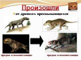 Произошли. от древних пресмыкающихся предки млекопитающих предки млекопитающих