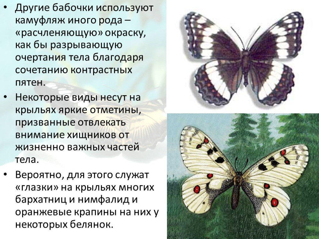 Какой вред бабочек