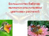 Большинство бабочек являются опылителями цветковых растений.
