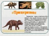 Трицератопс - ящер длиной около 9м и весом 5 т, был вдвое тяжелее и сильнее носорога. У него было три очень острых рога, которыми он оборонялся от таких хищных динозавров, как тираннозавры. Однако большую часть времени он занимался общипыванием растений своим"попугаичьим"клювом и пережёвыв