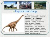 Брахиозавр - один из самых больших динозавров. Его вес превышал 50 т- примерно столько весит огромный грузовик. К тому же это был один из самых высоких динозавров: его голова возвышалась над землёй на 13м. В юрский период, когда климат был тёплый и влажный, землю почти сплошь покрывала буйная растит