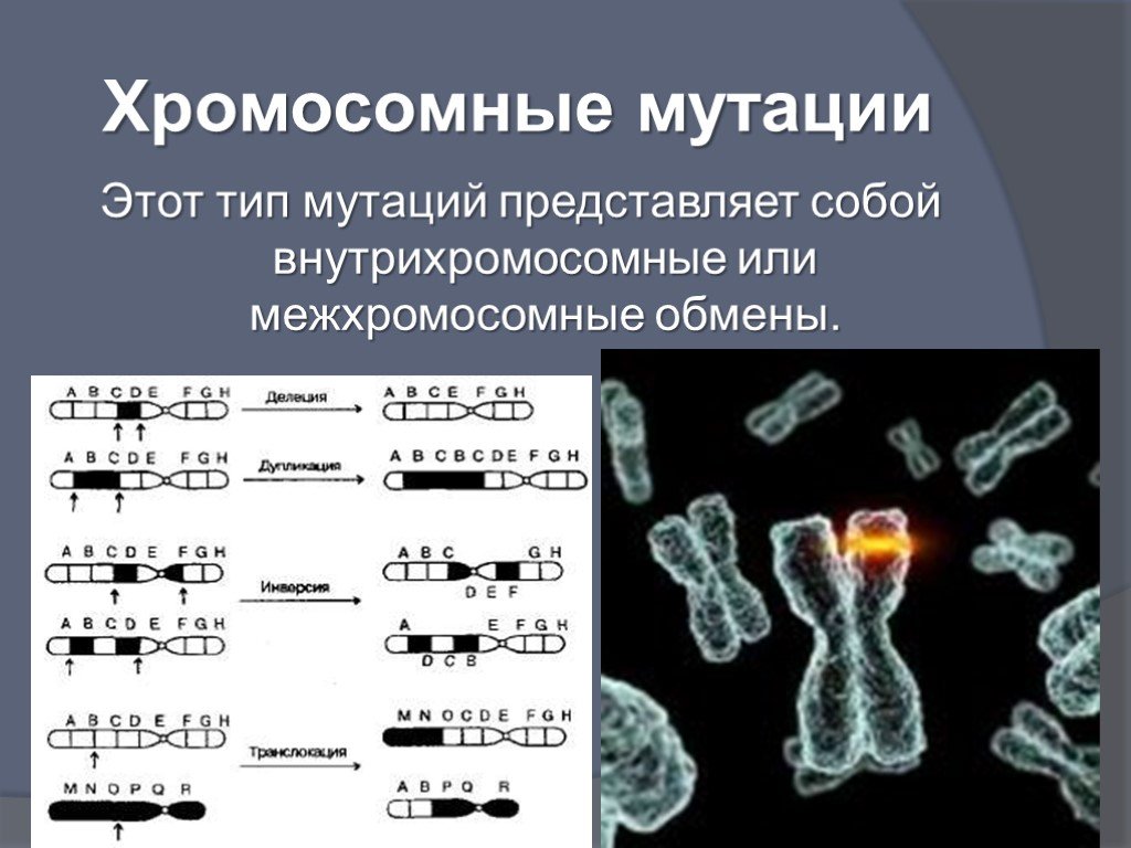 Изменение формы хромосом. Тип мутаций изменяющие структуру хромосом. Хромосомные мутации межхромосомные. Типы хромосомных мутаций. Структурные хромосомные мутации.