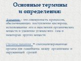 Органы дыхания - специализированные органы для газообмена между организмом и окружающей средой