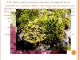 В 1984 г кораллиновая красная водоросль была найдена на глубине 268 м, что является рекордом для фотосинтезирующих организмов. Водоросли нередко в большом количестве живут на поверхности и в верхних слоях почвы, одни из них усваивают атмосферный азот, другие приспособились к жизни на коре деревьев, 