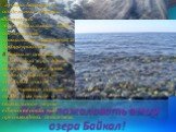 Добро пожаловать в мир озера Байкал! Глубина Байкала в отдельных местах достигает 1637м.Байкальская вода отличается уникальной чистотой и прозрачностью. В Байкале особый животный мир. Здесь обитает более 1500в. живых существ, из которых 1100 не встречаются больше нигде, в их числе и байкальская нерп
