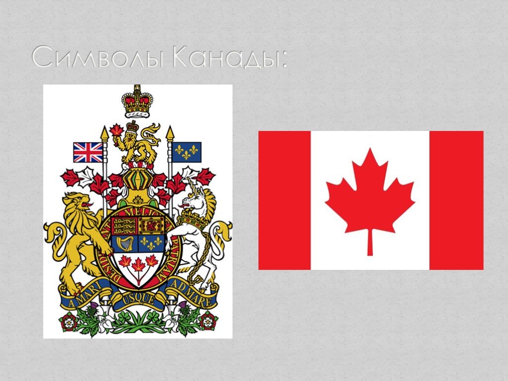 Канадский герб. Канада флаг и герб. Национальные символы Канады. Канада герб, флаг, символы.