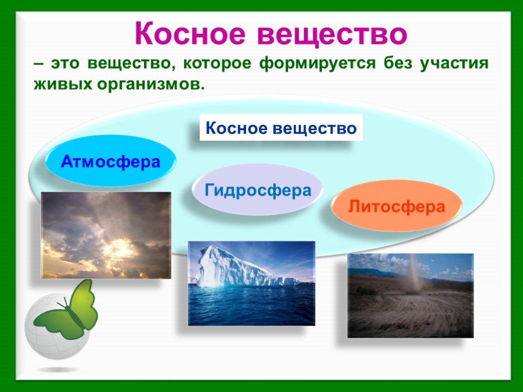 Косное и биогенное вещество биосферы