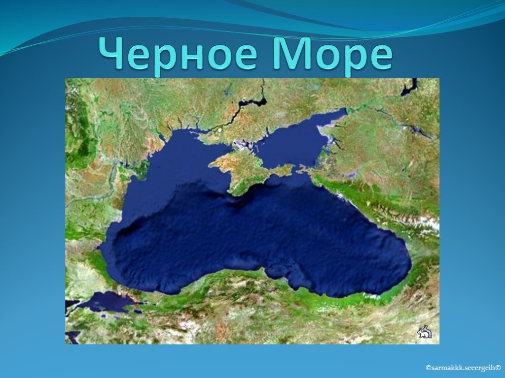 Черное море проект 4 класс