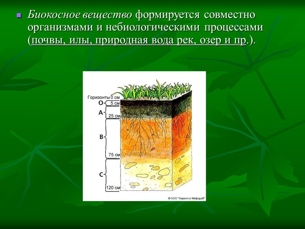 Биокосное вещество фото