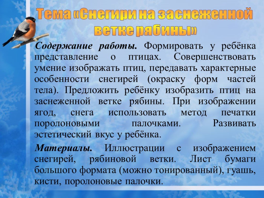 Представление птиц. Представление о птицах.. Практическая значимость проекта 