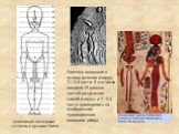 Композиция пропорций человека в Древнем Египте. Египтяне положили в основу деления фигуры 21 1 части. В это число входили 19 равных частей разделения самой фигуры, а 2 1 части прихо­дились на изображение традиционного головного убора