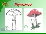 Рисуем грибы Слайд: 3