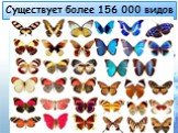 Существует более 156 000 видов