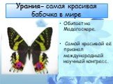 Урания- самая красивая бабочка в мире. Обитает на Мадагаскаре. Самой красивой её признал международный научный конгресс.