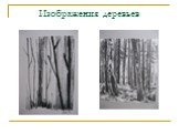 Изображения деревьев