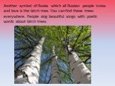 Another symbol of Russia which all Russian people know and love is the birch tree. You can find these trees everywhere. People sing beautiful songs with poetic words about birch trees.