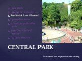 CENTRAL PARK. huge park landscape architect Frederick Law Olmsted opened in 1876 a carriage pulled by horse an old-fashioned carousel outdoor theatre. I was under the impression after visiting