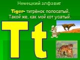 Tt. Tiger- тигрёнок полосатый, Такой же, как мой кот усатый.