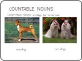 СOUNTABLE NOUNS. СOUNTABLE NOUNS are things that we can count. one dog two dogs