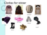 Clothes for winter mittens jacket sweater cap scarf Fur-coat down jacket gloves boots