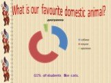 What is our favourite domestic animal? 61% of students like cats.