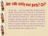 Are cats only our pets? Or? As we see cats are domestic animals which people love most of all. They do it not because cats are their pets. Perhaps, they love them for their peaceful character or silent sincerity and devotion. People consider that cats are symbols of organized household and welfare. 