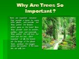 Why Are Trees So Important ? Trees are important because they provide a home for many other plants, and animals too. They protect the flowers which grow on the forest floor. They provide food for insects, reptiles, birds and mammals. They protect the soil from the wind and the rain. Most important o
