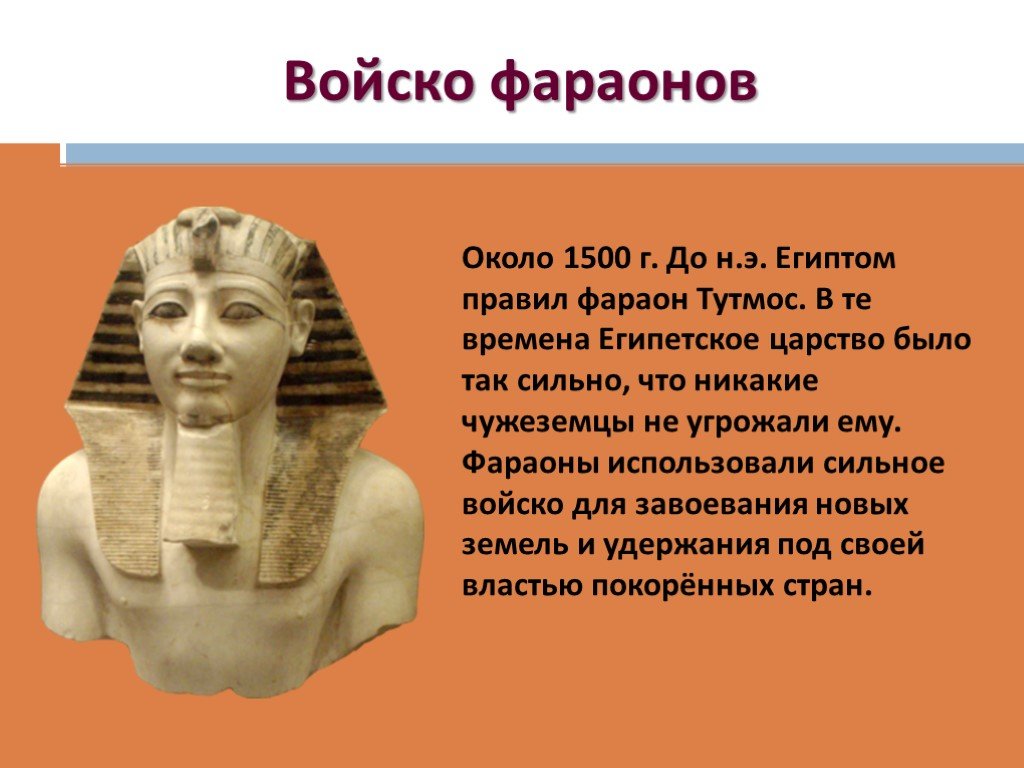 Тутмос 3 2 исторических факта. Тутмос -фараон завоеватель. Фараоны Египта тутмос. Фараон тутмос 1500 г до н э. Интересные факты о Фараоне.