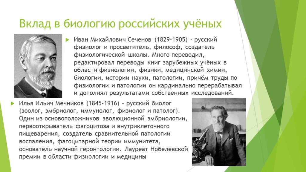 Презентация об ученом внесшим вклад в развитие компьютерных наук 10 класс