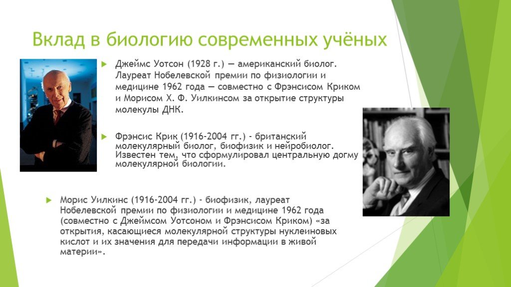 Внесших значительный вклад. Учёные внёсшие вклад в развитие биологии. Вклад ученых в развитие биологии Джеймс Уотсон. Ученые которые внесли вклад в развитие биологии кратко. Современные ученые биологи.