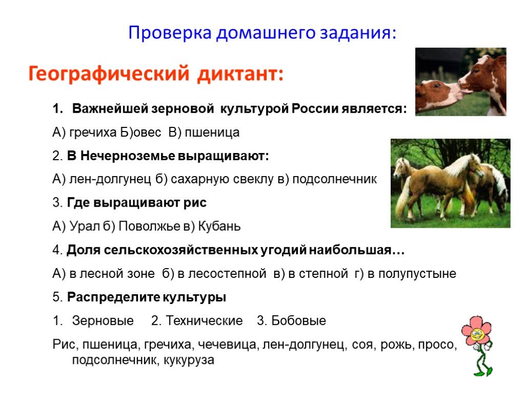 Окружающий мир тест на тему животноводство. Задания на тему животноводство. Вопросы по животноводству. Вопросы на тему животноводство.