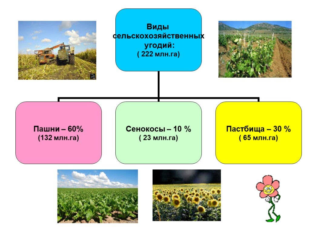 Сельское хозяйство 8 класс география презентация