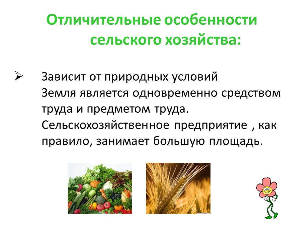 Вывод о сельском хозяйстве. Особенности сельского хозяйства. Характеристика растениеводства. Отличительные особенности сельского хозяйства. Презентация на тему сельское хозяйство.