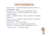 Самопроверка: Чай, цитрусовые – Северный Кавказ.